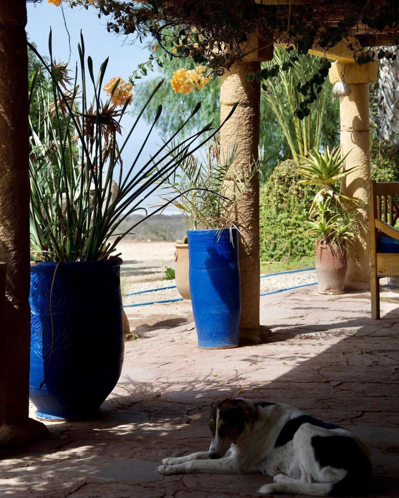 L'Air De La Mer Sidi Kaouki Exteriör bild